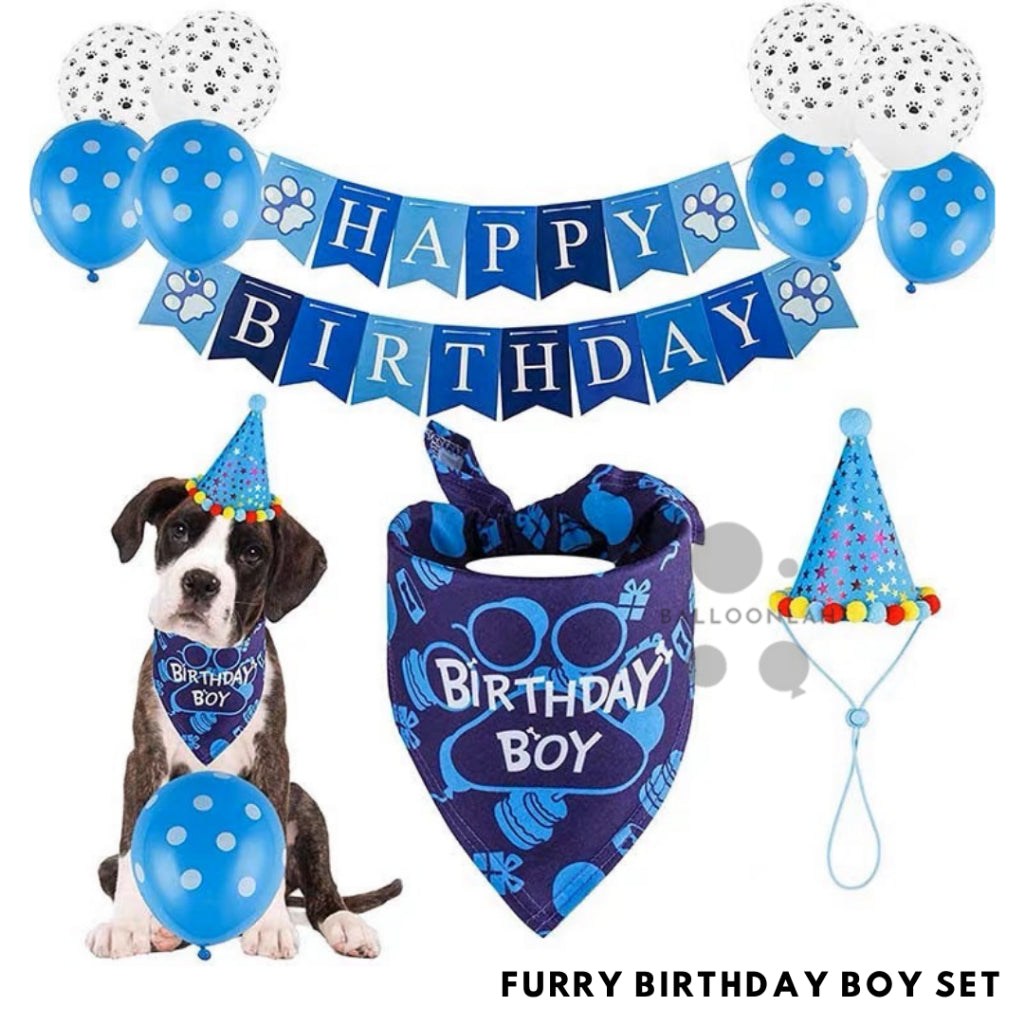 Pet Dog Cat Birthday Boy Birthday Girl Set Hat Scarf Balloons Party Bunting [READY STOCK IN SG]