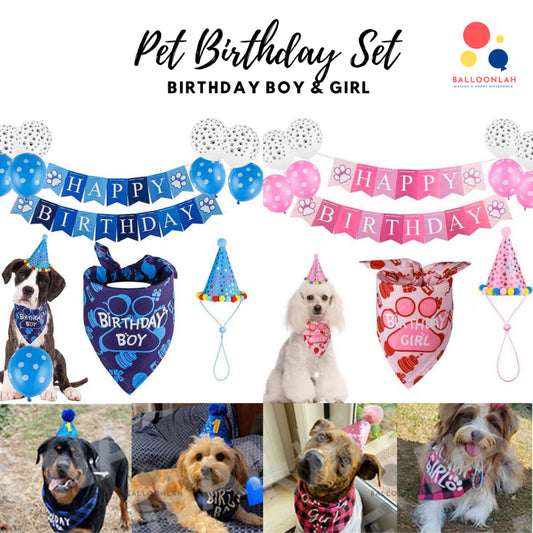 Pet Dog Cat Birthday Boy Birthday Girl Set Hat Scarf Balloons Party Bunting [READY STOCK IN SG]