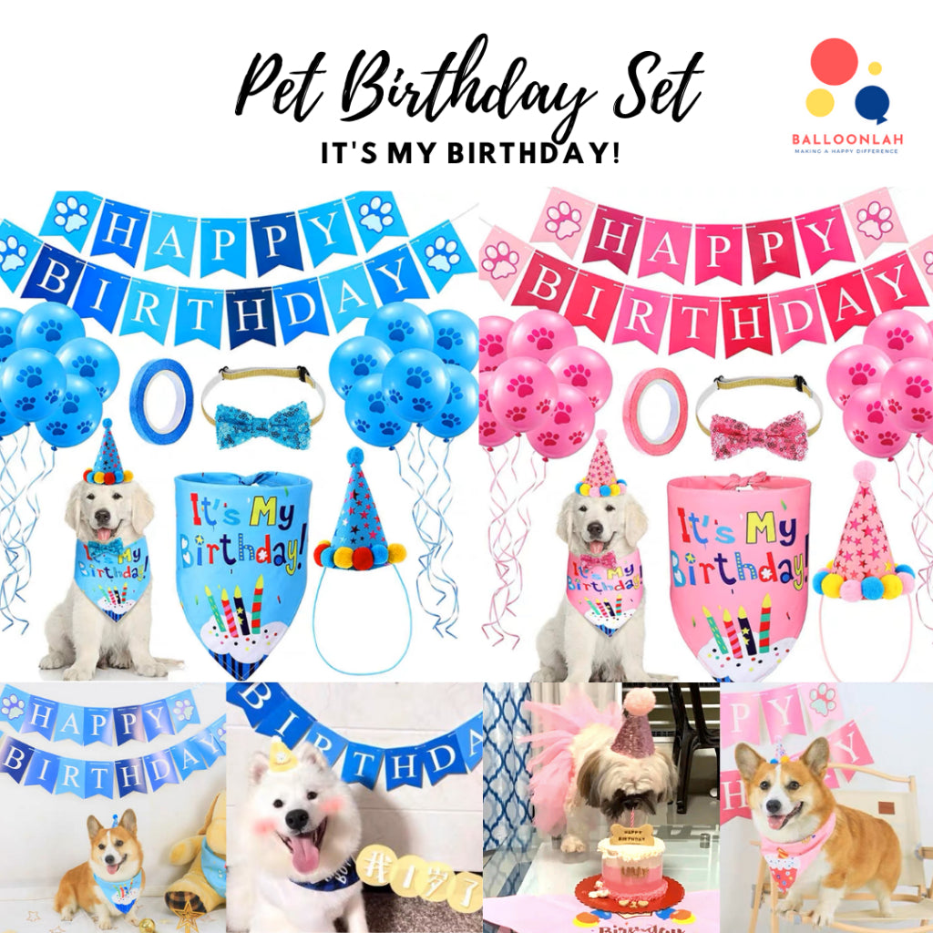 Pet Dog Cat Birthday Set Hat Scarf Balloons Party Bunting [READY STOCK IN SG]