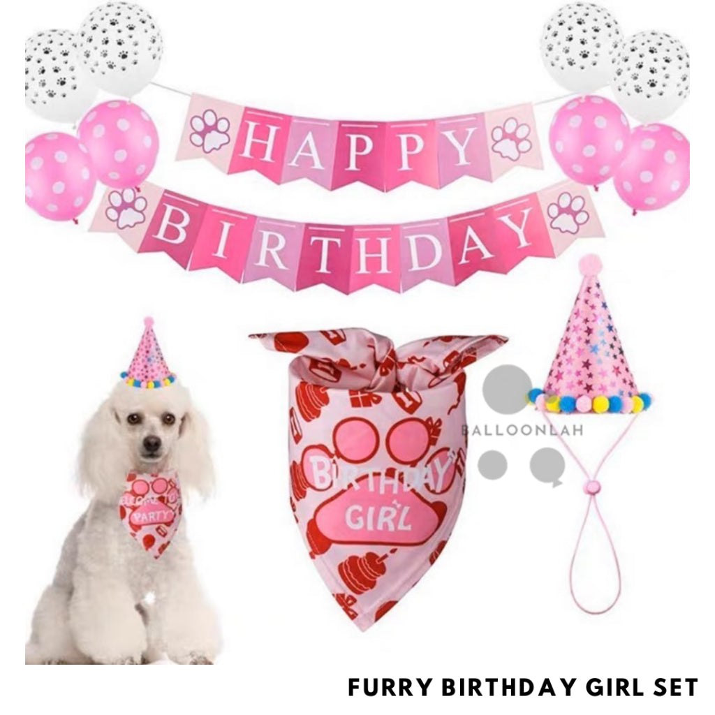 Pet Dog Cat Birthday Boy Birthday Girl Set Hat Scarf Balloons Party Bunting [READY STOCK IN SG]